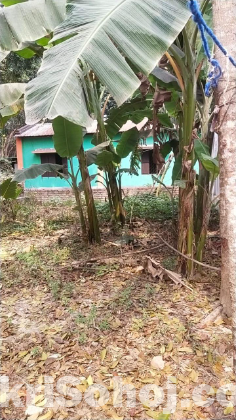 Monihar Er Kace Jhumjhumpur Bisic Area মান্দারতলা মোড়
